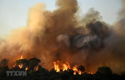 Pháp: Huy động 1.200 lính cứu hỏa để khống chế cháy rừng