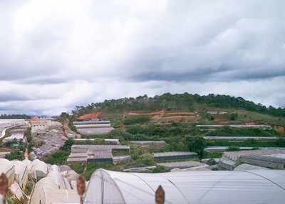 Lâm Đồng: Tháo gỡ nhà kính, nhà lưới trên đất lâm nghiệp