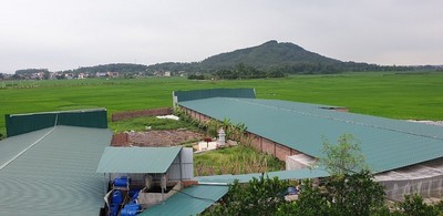 Thái Nguyên: Tràn lan tình trạng XD trái phép trên đất nông nghiệp