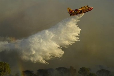 Pháp khống chế được đám cháy rừng lớn tại vùng Var ở miền Nam