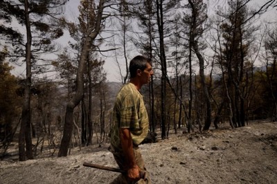 Hy Lạp: Cháy rừng 'thiêu rụi' cuộc sống của người thu gom nhựa thông