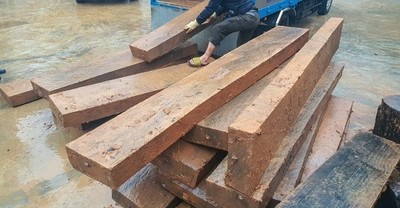 Lâm Đồng: Điều tra nguồn gốc kho gỗ quý
