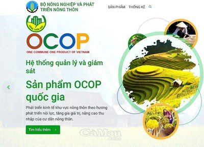 Tạo động lực phát triển bền vững chương trình OCOP