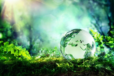 Giai đoạn 2021 - 2030, TP.HCM sẽ triển khai 5 nhóm giải pháp để bảo vệ môi trường