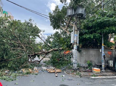 TP.HCM: Gió lốc kèm mưa lớn làm gãy cây xanh, gây cháy nổ trạm điện