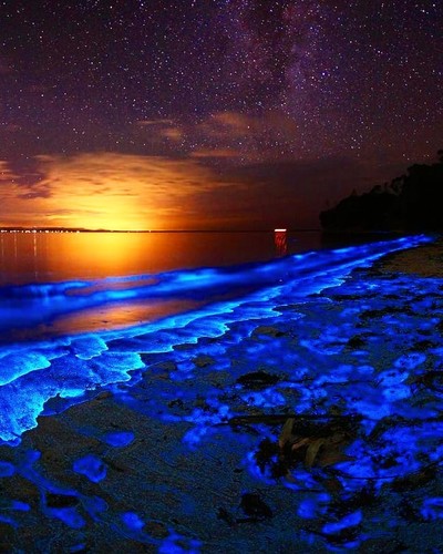 Hiện tượng tự nhiên: Các vịnh, bãi biển phát quang sinh học siêu đẹp