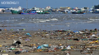Mọi thứ rác thải đều đổ ra biển