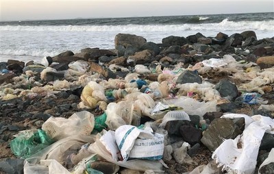 Ô nhiễm môi trường biển đảo đang báo động