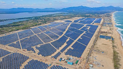 Bình Định yêu cầu chủ đầu tư dự án Nhà máy điện mặt trời Phù Mỹ khắc phục hậu quả