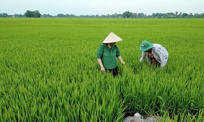 Bắc Giang hướng đến nền nông nghiệp xanh thân thiện với môi trường