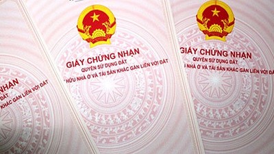 Đắk Nông: Kiến nghị khởi tố Chi nhánh Văn phòng Đăng ký đất đai huyện Đắk Song