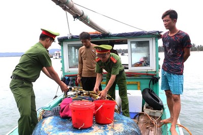 Xử phạt nghiêm các đối tượng vi phạm khai thác hải sản trái phép