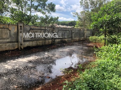 Gia Lai: Nước thải từ bãi rác tại TP Pleiku có nguy cơ “bức tử” rừng thông