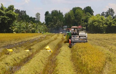 Cà Mau phát triển kinh tế nông nghiệp dựa trên tiêu chí xanh, sạch