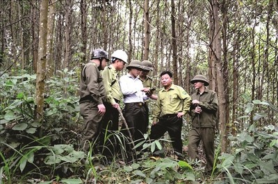 Thanh Hóa ứng dụng khoa học công nghệ trong công tác bảo vệ rừng