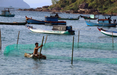 Phát triển bền vững kinh tế biển cần lấy kinh tế xanh làm nền tảng