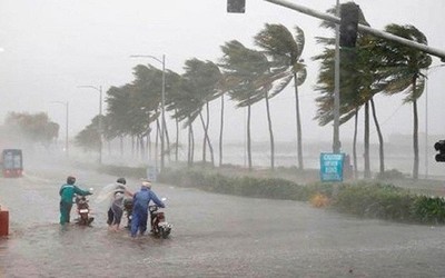 Ứng phó với áp thấp nhiệt đới, bão trên biển Đông và mưa lớn diện rộng