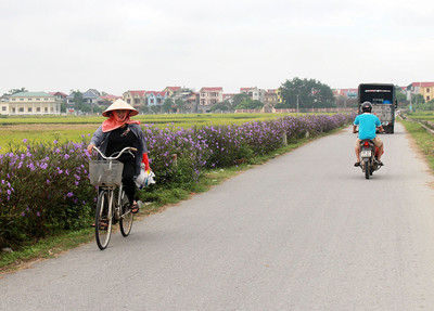Việt Yên (Bắc Giang): 100% các xã, thị trấn có tổ vệ sinh môi trường thu gom rác thải