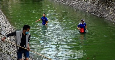 Nước sông Tô Lịch đổi màu xanh ngắt, người dân đội mưa bắt cả tạ cá