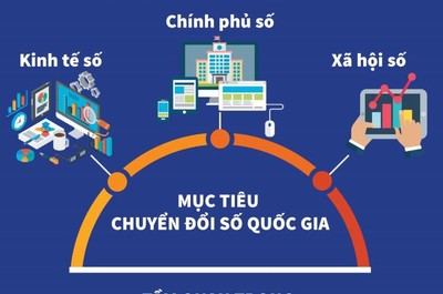 Bức tranh tổng thể về chuyển đổi số ở Việt Nam năm 2020