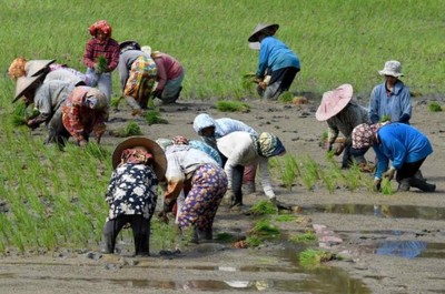 Biến đổi khí hậu, nông nghiệp và an ninh lương thực khu vực Đông Nam Á