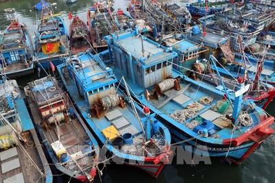 Phát động ngư dân tỉnh Quảng Nam thu gom rác thải từ tàu cá