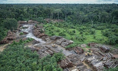 Khí thải CO2 tại Brazil đạt mức kỷ lục do nạn phá rừng Amazon