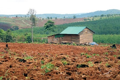 Đắk Nông thu hút 12 dự án đầu tư vào lĩnh vực nông nghiệp