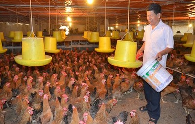 Thái Nguyên: Cần thêm giải pháp bảo vệ môi trường trong chăn nuôi ở Phú Lương