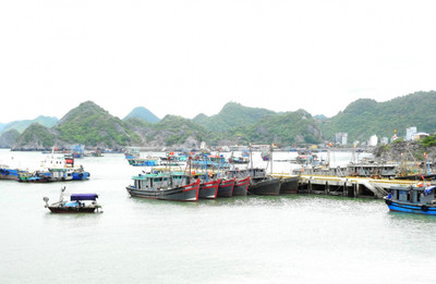 Hải Phòng di chuyển hoạt động Cảng cá Cát Bà để phát triển du lịch