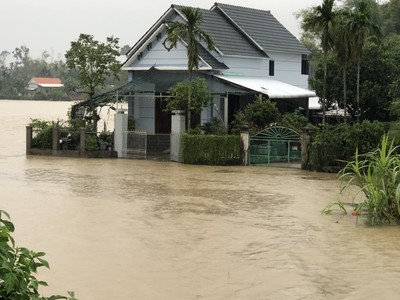 Quảng Ngãi: Lũ lên nhanh, hàng trăm ngôi nhà bị ngập nước