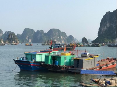 Quảng Ninh tăng cường bảo vệ nguồn thủy sản