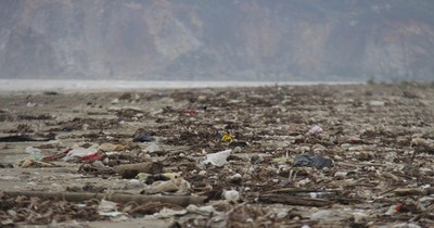 Nhà hàng xơ xác, rác tràn bờ biển Hà Tĩnh