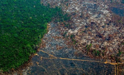 Tỷ phú Elon Musk giúp Brazil chống nạn phá rừng Amazon bằng vệ tinh