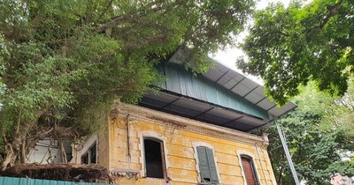 Sắp tu bổ biệt thự cổ gần 1.000 m2 bỏ hoang trên phố Trần Hưng Đạo