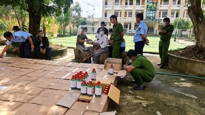 Gia Lai: Bắt quả tang vụ vận chuyển thuốc bảo vệ thực vực cấm lưu hành