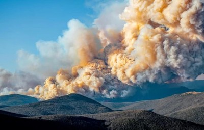 Cháy rừng do hoạt động của con người sẽ ngày càng nghiêm trọng hơn