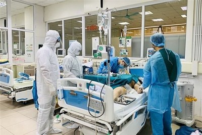 Sáng 26/11: Có 751 bệnh nhân COVID-19 đang thở máy, ECMO
