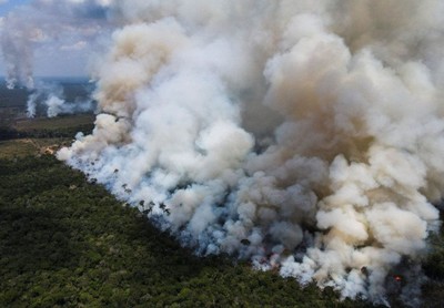 Brazil: Phá rừng Amazon cao nhất trong 15 năm qua
