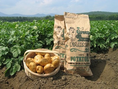 Lai tạo giống khoai tây có khả năng chống chịu biến đổi khí hậu