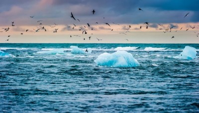 Dòng hải lưu Nam Cực đang tăng tốc vì biến đổi khí hậu