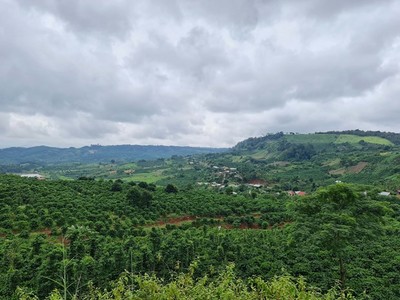 Đắk Nông: Điều chỉnh quy hoạch rừng, tháo gỡ khó khăn cho người dân