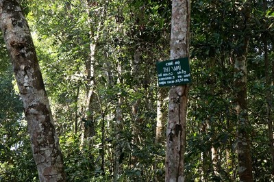 Thêm nguồn lực cho công tác quản lý, bảo vệ rừng tại Đắk Nông