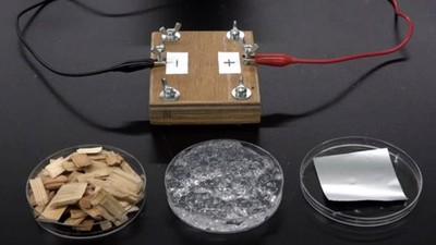 Cách mạng về vật liệu từ Nhật Bản: Pin làm bằng bột gỗ chứ không phải kim loại hiếm