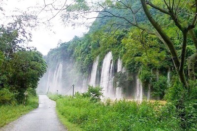 Khu dự trữ thiên nhiên Thần Sa - Phượng Hoàng - “lá phổi xanh tự nhiên” của tỉnh Thái Nguyên