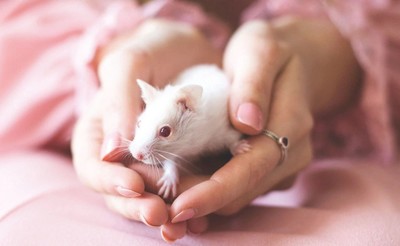 Nhật Bản: Thử nghiệm thành công vaccine chống lão hóa trên động vật