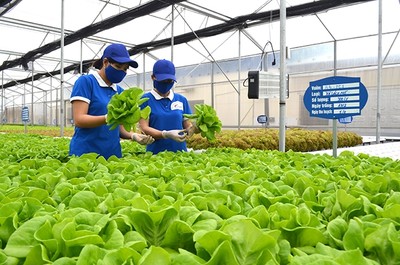 Quảng Ninh: Thành lập Khu nông nghiệp ứng dụng công nghệ cao