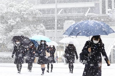 Nhật Bản: Cảnh báo tuyết rơi nhiều tại Tokyo lần đầu tiên trong 4 năm