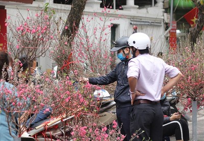 Hà Nội: Tổ chức 78 điểm chợ hoa xuân phục vụ Tết Nguyên đán 2022