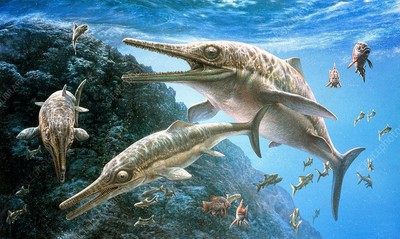 Anh: Phát hiện hóa thạch 'rồng biển' khổng lồ